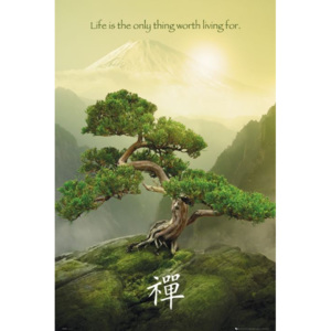 Zen Plakát, (61 x 91,5 cm)
