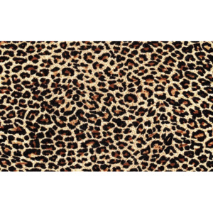 Leopard Tapéta, Fotótapéta, (91 x 211 cm)