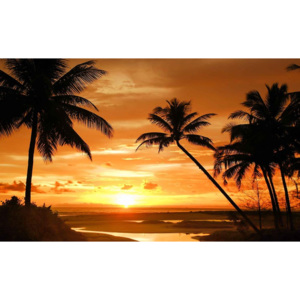 Beach Tropical Sunset Palms Tapéta, Fotótapéta, (368 x 254 cm)