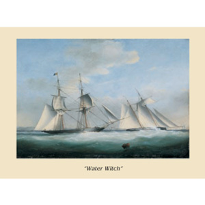 The Ship Water Witch Festmény reprodukció, Navi, (30 x 24 cm)