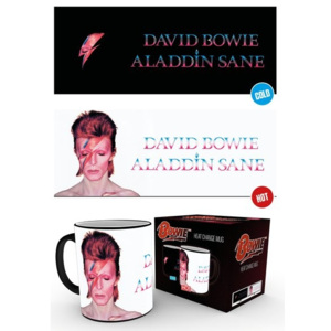 David Bowie - Aladdin Sane bögre