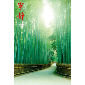 Poszter Quiet Bamboo Path