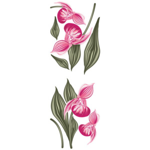 Falmatrica - Festett orchideák (1)