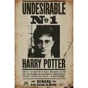 HARRY POTTER - Undesirable n8 Plakát, (61 x 91,5 cm)