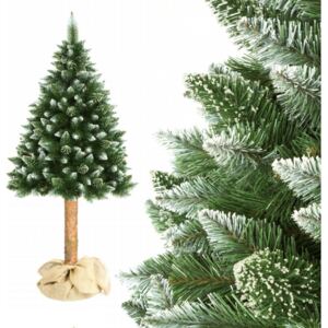 Karácsonyfa Erdei Fenyő, talppal 180 cm hegyi Luxury
