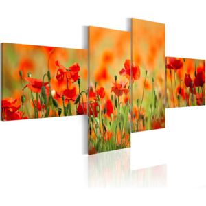 Vászonkép Bimago - Blooming meadow 100x45 cm