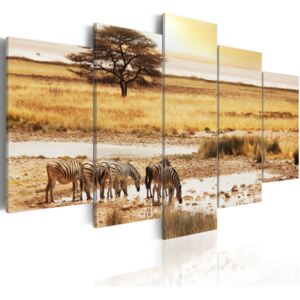 Vászonkép Bimago - Zebras on a savannah 200x100 cm