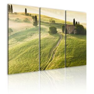 Vászonkép Bimago - Under the Tuscan Sun 60x40 cm