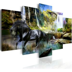 Vászonkép Bimago - Black horse on the background of paradise waterfall 100x50 cm