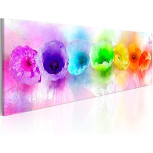 Vászonkép Bimago - Rainbow-hued poppies 120x40 cm