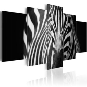 Vászonkép Bimago - Zebra look 100x50 cm