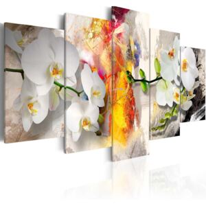 Vászonkép Bimago - Orchid And Colors 100x50 cm