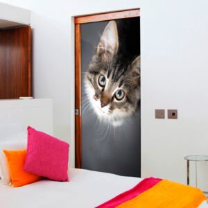 Fotótapéta ajtóra Bimago - Charming Kitten + ragasztó ingyen 90x210 cm
