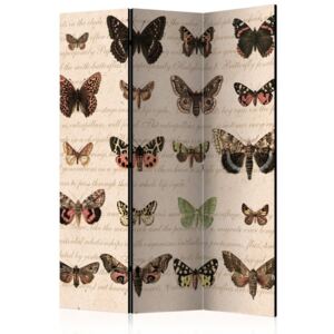 Bimago Paraván - Retro Style: Butterflies 135x172cm