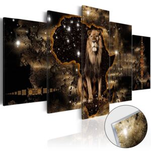 Bimago üvegkép - Golden Lion 100x50 cm
