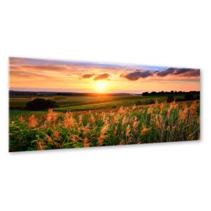 Üvegkép - Styler Sunset Meadow 120x80 cm