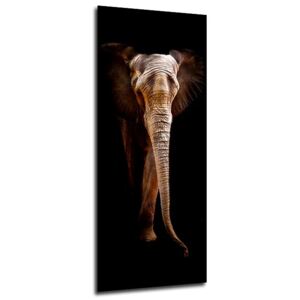 Üvegkép - Styler Elephant 50x125 cm