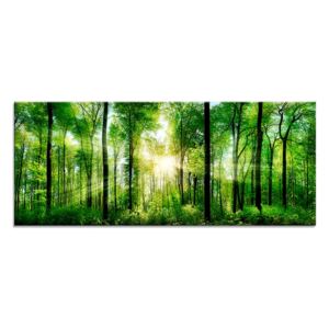 Üvegkép - Styler Sunlight 125x50 cm