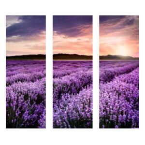 Lavender Field - üvegkép 125x50 cm