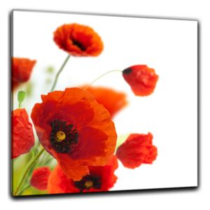 Poppy - üvegkép Poppy 1 - 30x30 cm