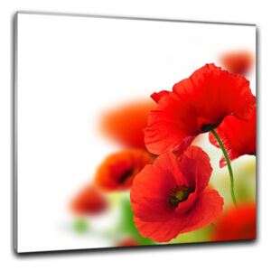 Poppy - üvegkép Poppy 2 - 30x30 cm