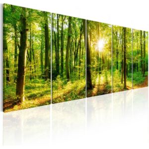 Vászonkép Bimago - Magic Forest 200x80 cm