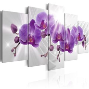 Vászonkép Bimago - Abstract Garden: Purple Orchis 200x100 cm