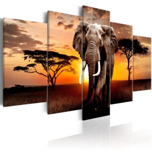 Vászonkép Bimago - Elephant Migration 100x50 cm