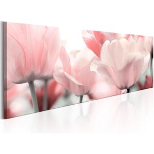Vászonkép Bimago - Pink Tulips 120x40 cm