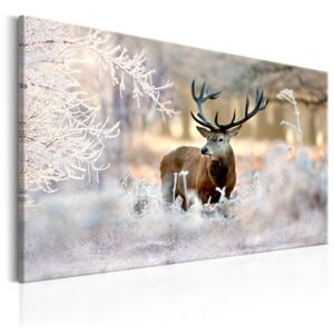 Vászonkép Bimago - Deer in the Cold 90x60 cm