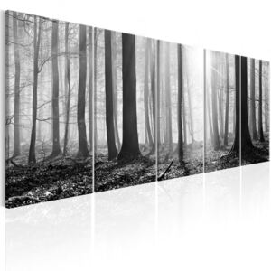 Vászonkép Bimago - Monochrome Forest 200x80 cm
