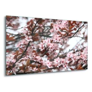 Üvegkép GLIX - Beautiful Blossoms 60x40 cm