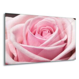 Üvegkép GLIX - The Sensual Rose 60x40 cm
