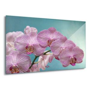 Üvegkép GLIX - Orchid Elegance 60x40 cm