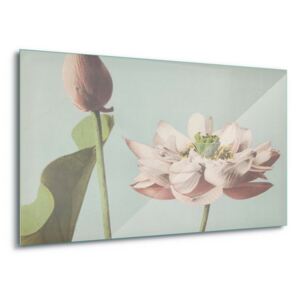 Üvegkép GLIX - Lotus Blossom, Ogawa Kazumasa. 60x40 cm