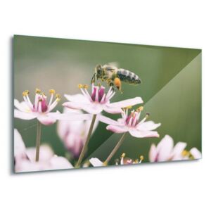 Üvegkép GLIX - Busy Bee 4 x 30x80 cm