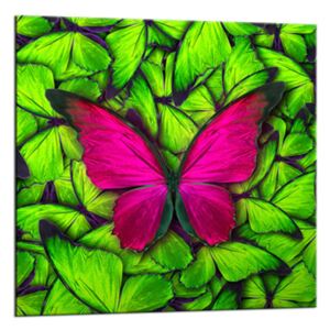 Üvegkép - Styler Green Butterfly | Méret: 20x20 cm
