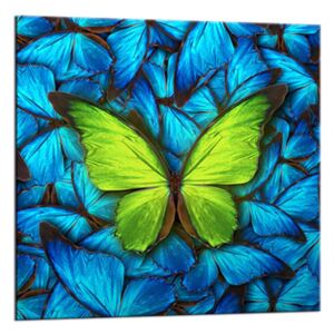Üvegkép - Styler Blue Butterfly | Méret: 20x20 cm
