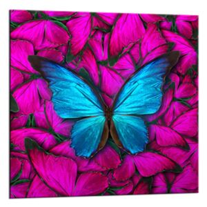 Üvegkép - Styler Red Butterfly | Méret: 20x20 cm