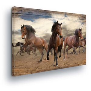 Vászonkép GLIX - Wild Horses 80x80 cm