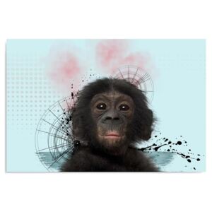 Kép CARO - Monkey 2 100x70 cm