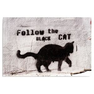 Kép CARO - Black Cat 100x70 cm