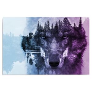 Kép CARO - The Wolf On The Background Of The Forest - Purple 40x30 cm