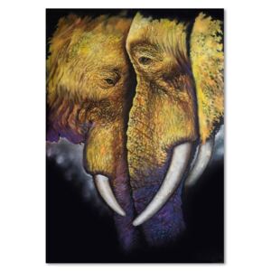 Kép CARO - A Lonely Elephant 30x40 cm