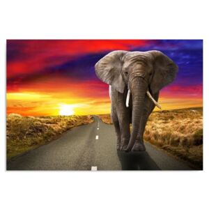 Kép CARO - Elephant On The Road 40x30 cm