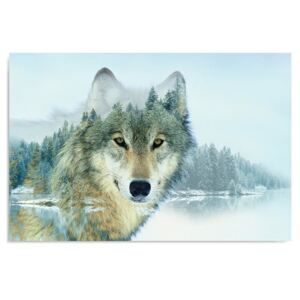 Kép CARO - Wolf On The Lake 40x30 cm