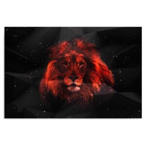 Kép CARO - Lion In The Dark 40x30 cm