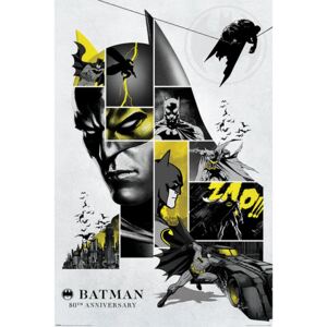 Plakát - Batman 80th Anniversary