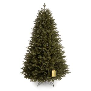 Karácsonyfa Kanadai lucfenyő 100 % 250 cm