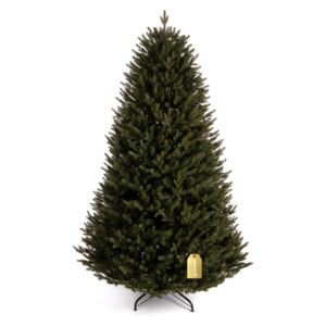 Karácsonyfa Nepal lucfenyő 250 cm